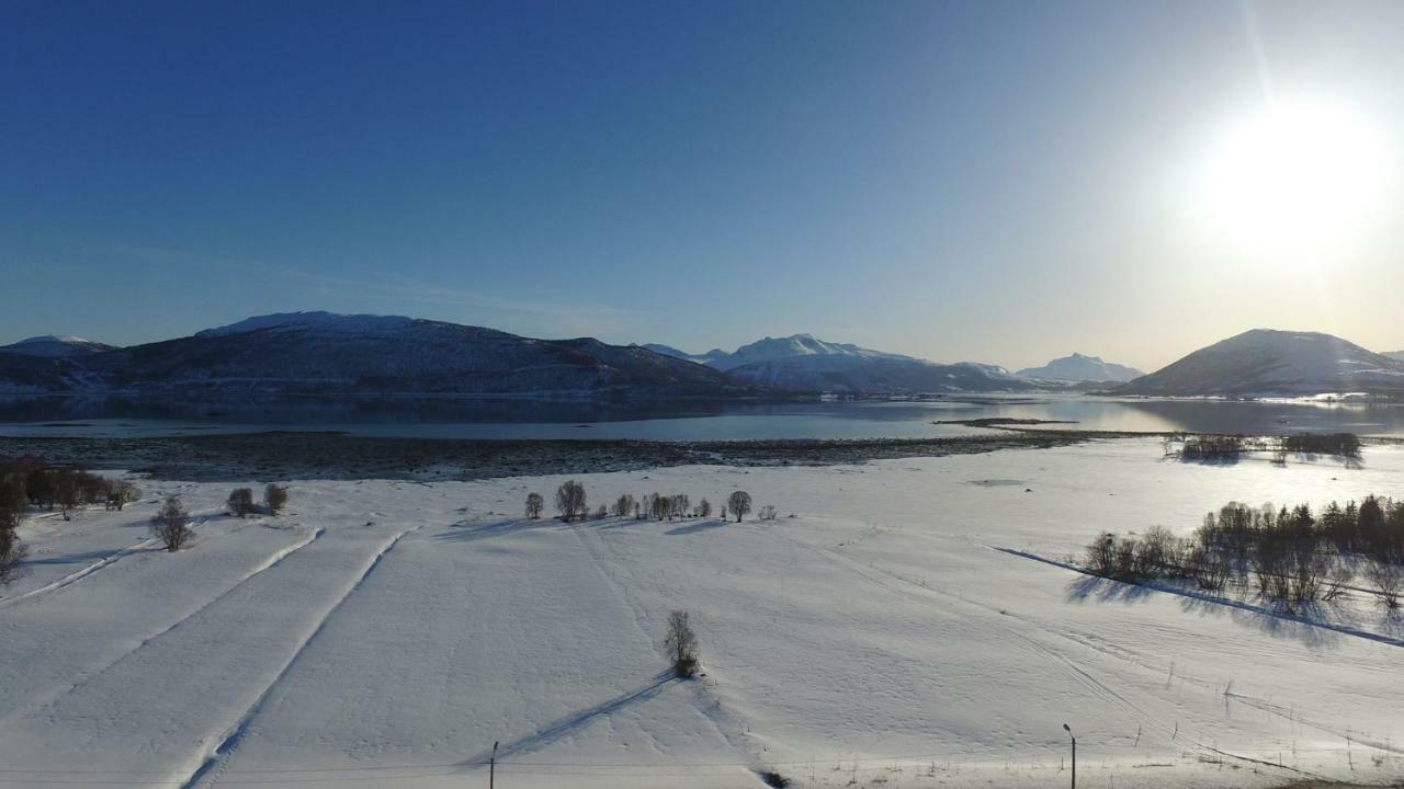 1 Room In The Yellow House, Close To Airport & Lofoten Evenskjer Екстериор снимка